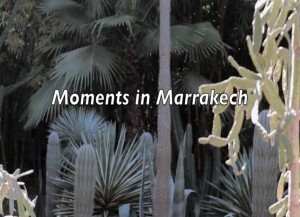 Moments in Marrakech by Phoenix James