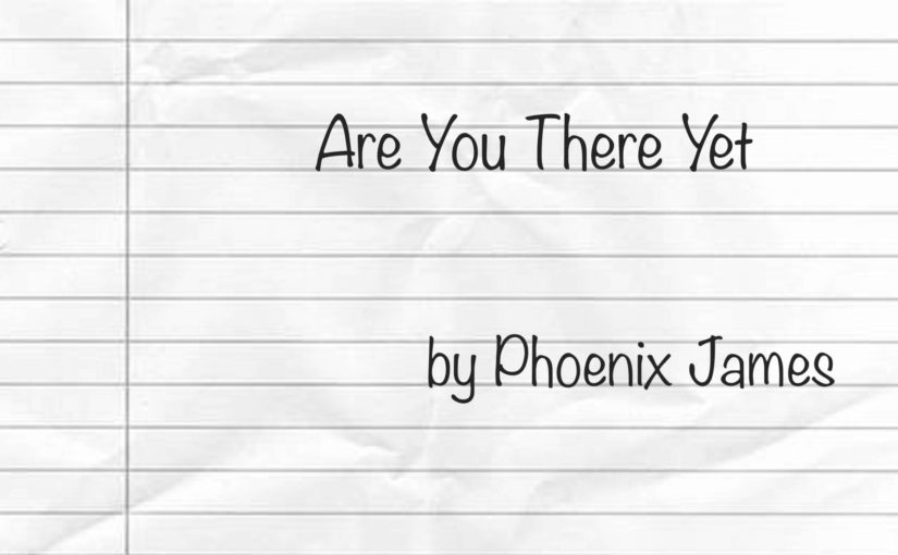 Are You There Yet by Phoenix James