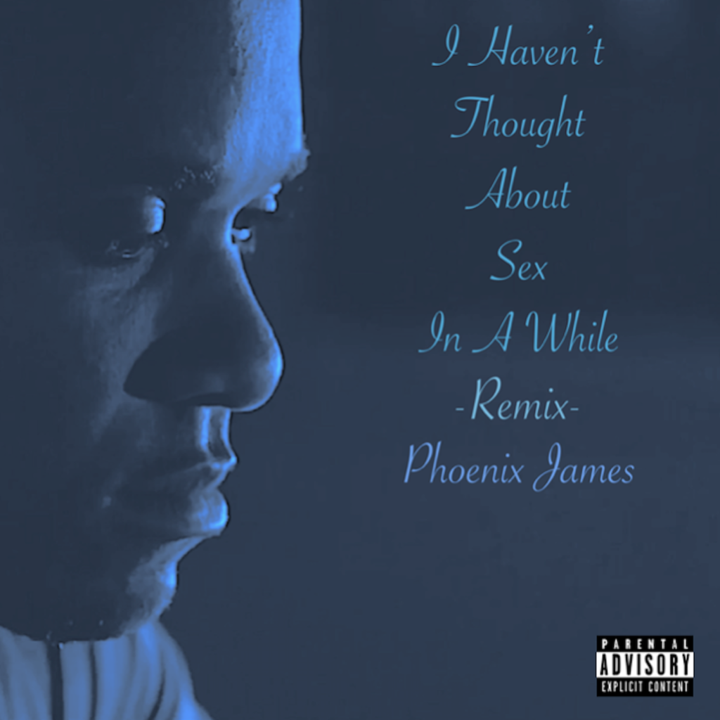 I HAVEN'T THOUGHT ABOUT SEX IN A WHILE REMIX SPOKEN WORD POETRY BY PHOENIX JAMES OFFICIAL PHENZWAAN