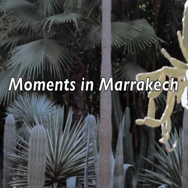 Moments in Marrakech – A Short Film by Phoenix James